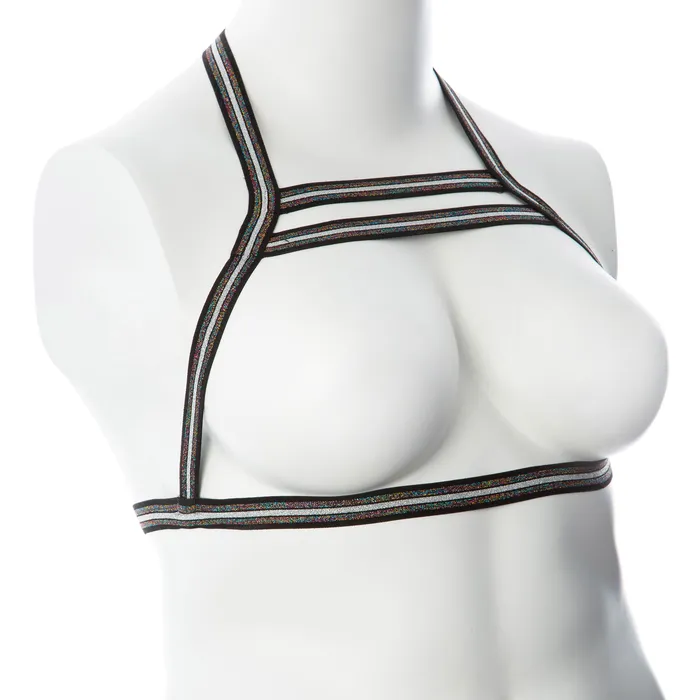 Gender Fluid Anal Gender Fluid Silver Lining Harness Largexxlarge MultiColor Gender Fluid Anal Gender Fluid Silver Lining Harness Largexxlarge MultiColor