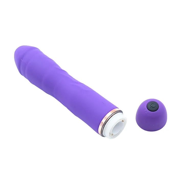 Be My Sugar MySecretCase Vibrators