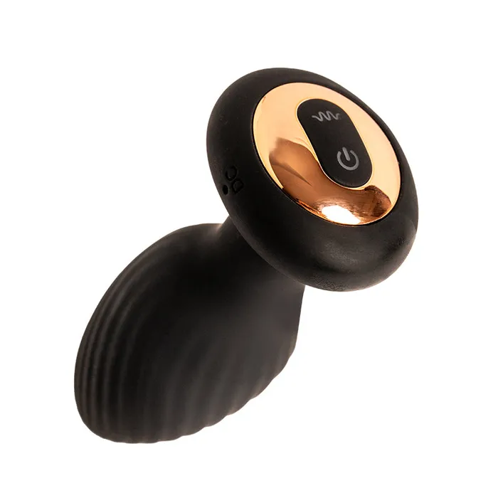 Capitano MySecretCase Vibrators