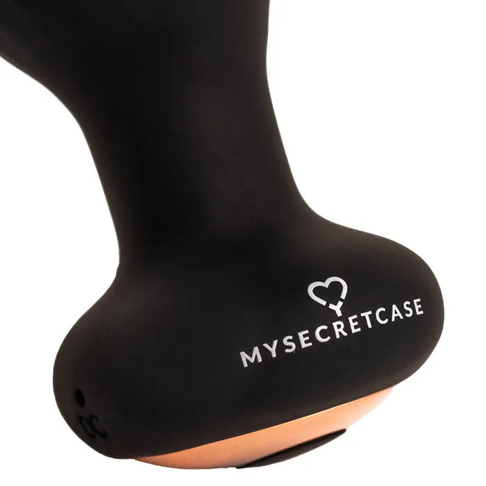 Capitano MySecretCase Vibrators