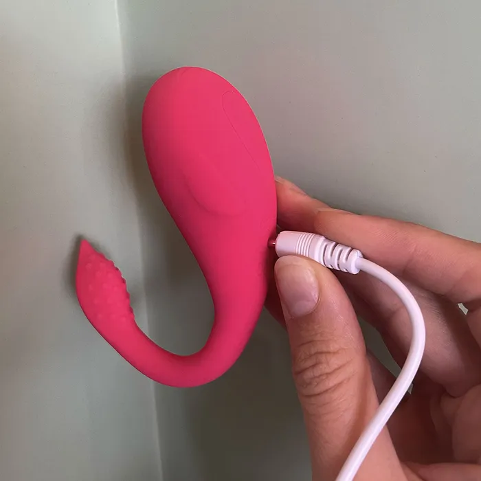 Delfino curioso Vibratore a distanza doppia stimolazione con App Ayay Vibrators